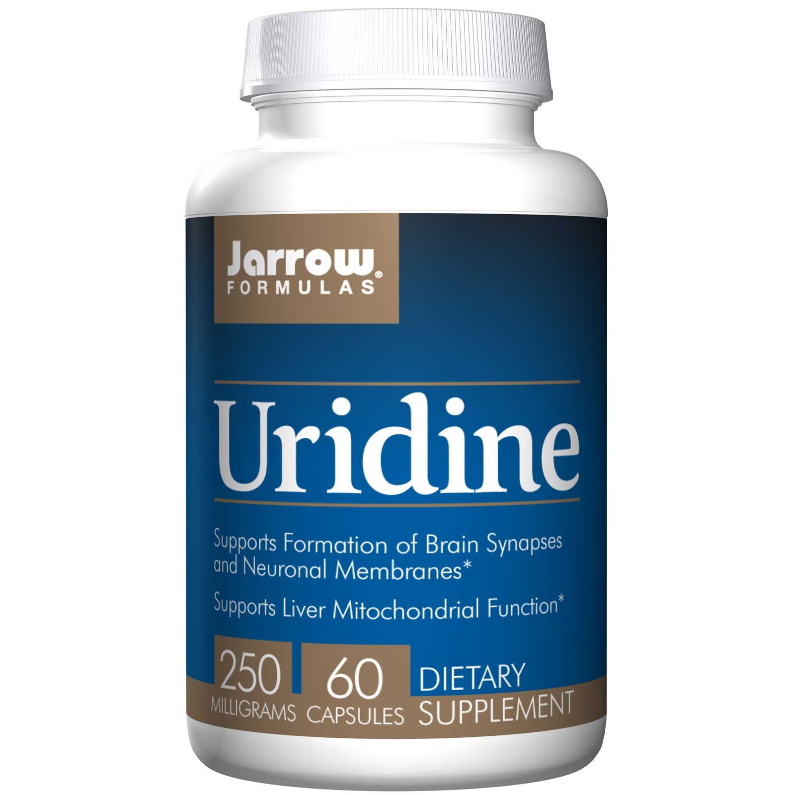 Uridine injection: A powerful addition for synaptic plasticity