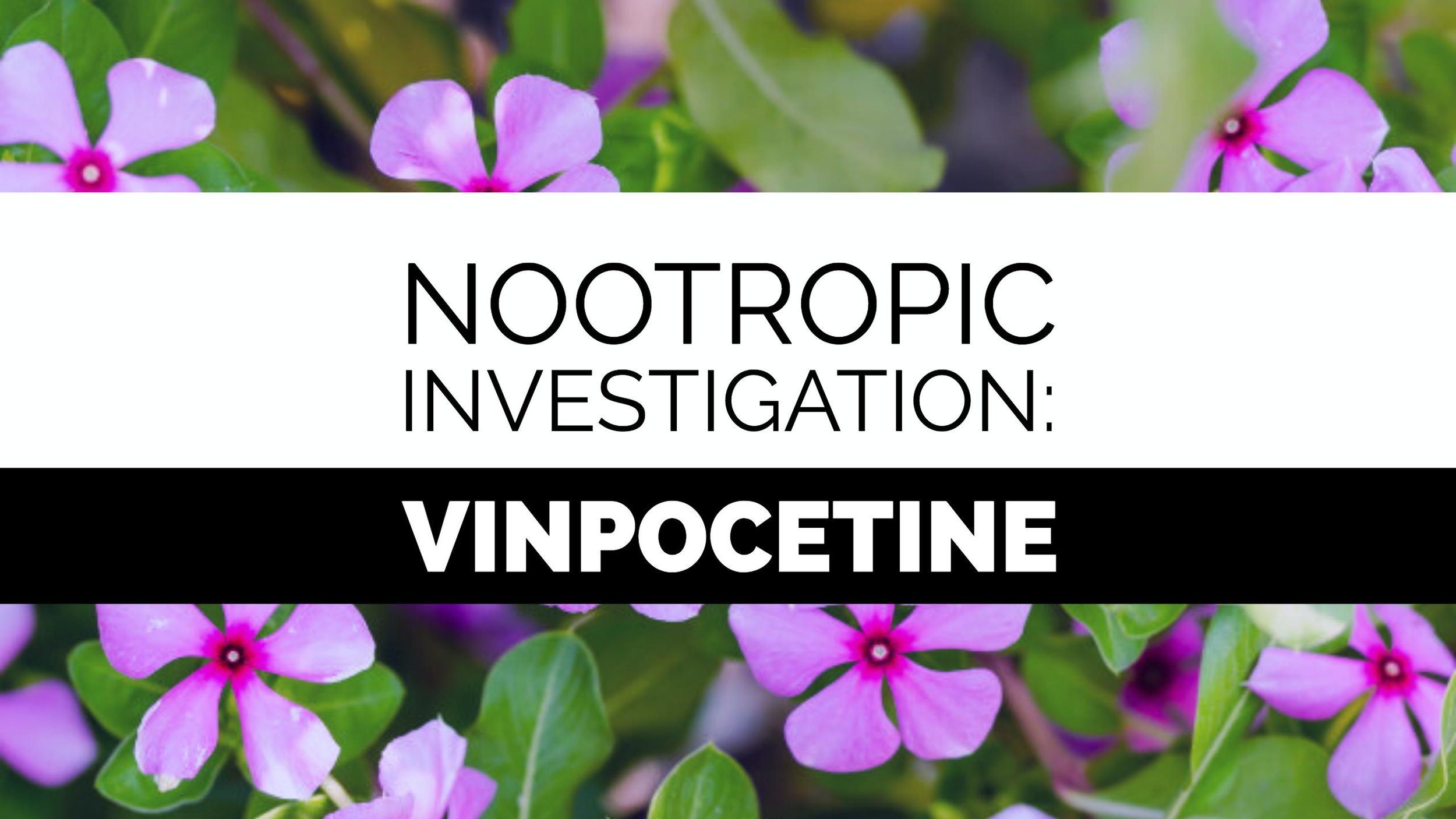 Nootropic investigation: Vinpocetine