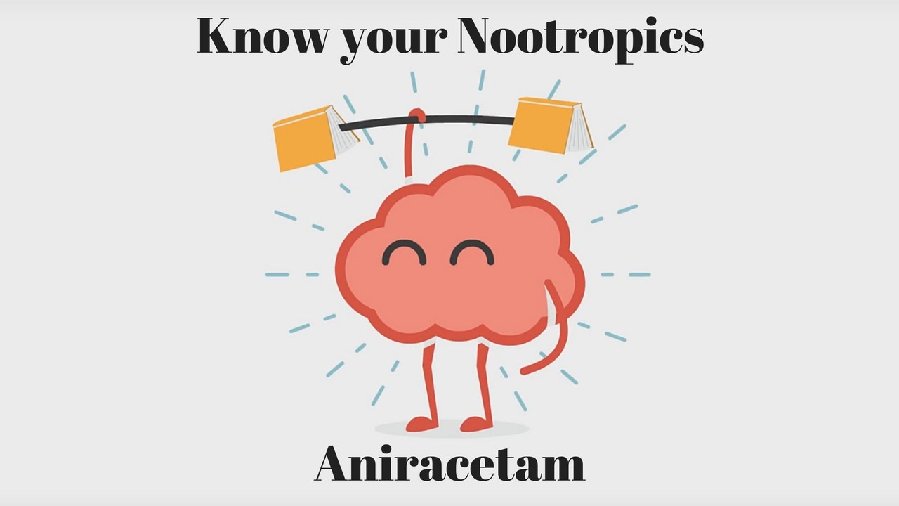 Know your Nootropics – Aniracetam