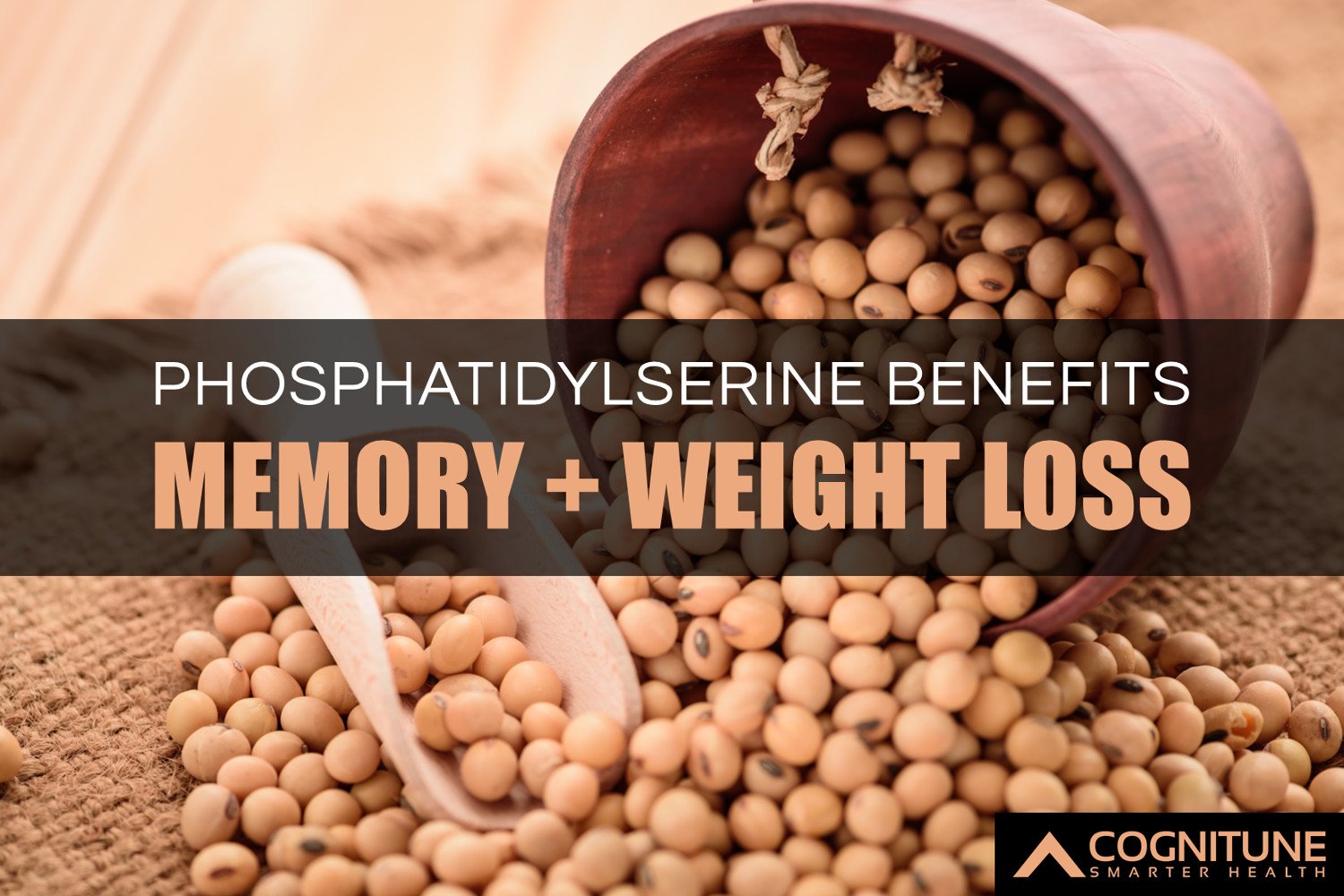 Phosphatidylserine – memory _ weight loss